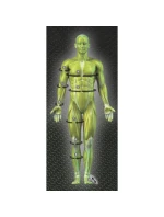 kompresní návlek 6150 černo-zelený - vyberte si sami