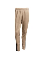 Kalhoty Squadra 25 Training M model 21310839 - ADIDAS