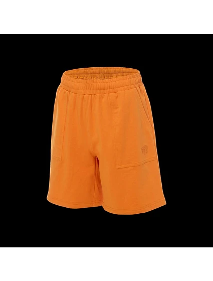 Šortky  Jr model 21257999 - Iguana