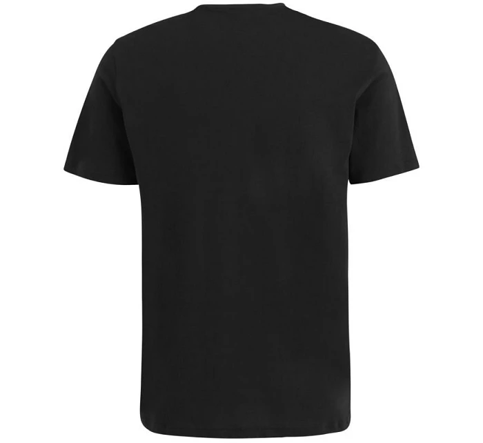 Regular Tee M 80010 pánské tričko model 20963281 - Fila Regular Tee M 80010 pánské tričko model 20963281 - Fila