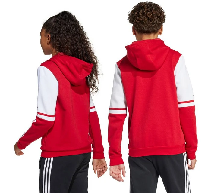 Adidas Squadra 25 Sweat Hoody Jr JD4805 Mikina Adidas Squadra 25 Sweat Hoody Jr JD4805 Mikina