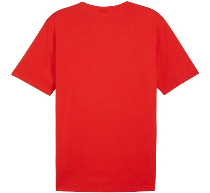 Team Rise Logo Jersey Cotton M model 21062261 01 pánské - Puma Team Rise Logo Jersey Cotton M model 21062261 01 pánské - Puma