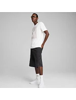 Puma Graphics Wording T-shirt M 684825 02 pánské