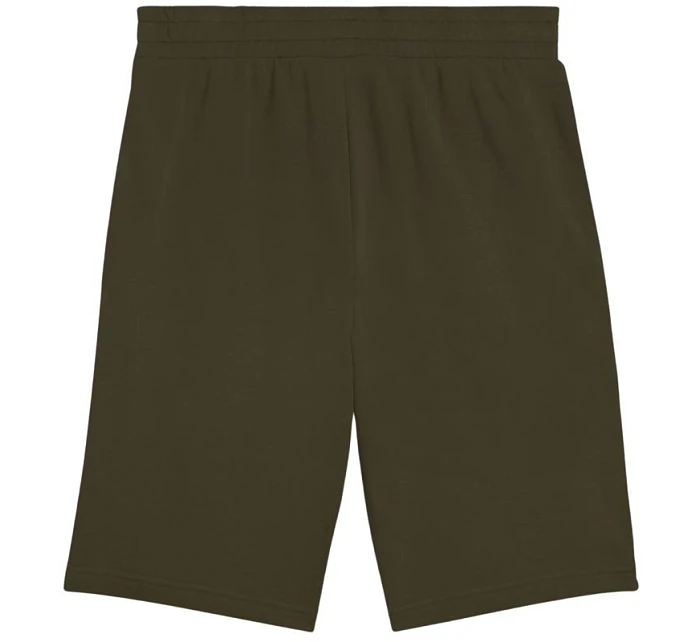 Puma Ess 2 Color No. 1 Logo M 684715 70 šortky Puma Ess 2 Color No. 1 Logo M 684715 70 šortky