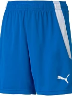 Puma teamLIGA Shorts Jr 704931 02