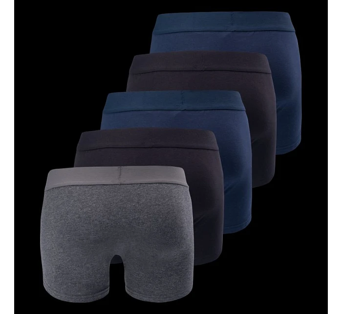 Pánské boxerky RAVOR 5PACK Pánské boxerky RAVOR 5PACK