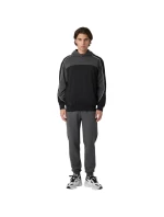 Pánská mikina pánské model 21343848 - Fila Pánská mikina pánské model 21343848 - Fila