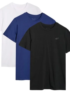 Pánské tričko (sada 3 triček) 4F 3P-SS-4FWMM00TTSHM2256-92S 3PAK