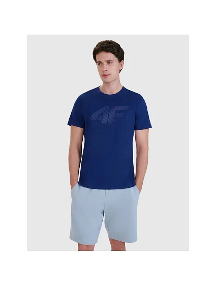 Pánské tričko model 21437429 - 4F