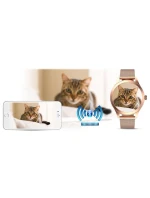 Dámské hodinky Pink Gold model 21804281 - G.ROSSI Dámské hodinky Pink Gold model 21804281 - G.ROSSI