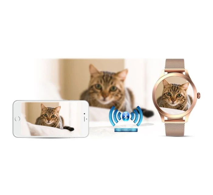 Dámské hodinky Pink Gold model 21804281 - G.ROSSI Dámské hodinky Pink Gold model 21804281 - G.ROSSI