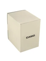 Hodinky model 21804305 + krabice - CASIO