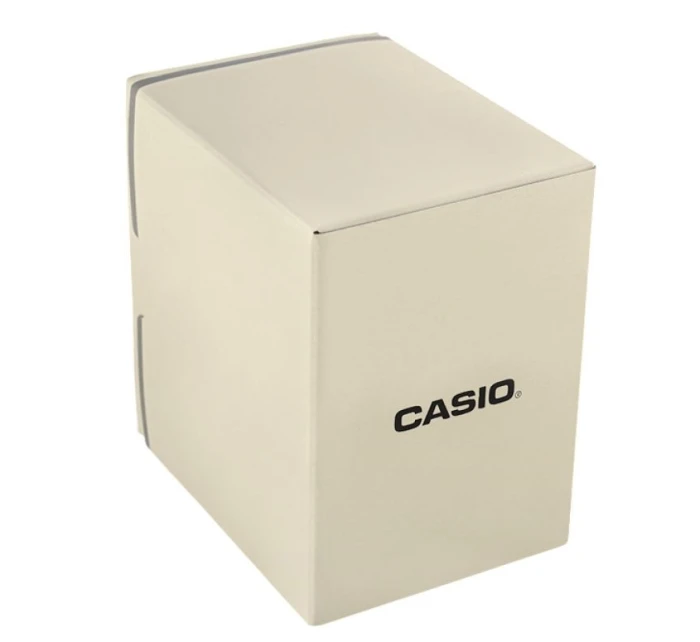 Hodinky model 21804307 + krabice - CASIO Hodinky model 21804307 + krabice - CASIO