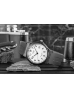 Dámské hodinky model 21804323 + BOX - CASIO Dámské hodinky model 21804323 + BOX - CASIO