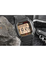 Pánské hodinky model 21804753 + BOX - CASIO