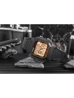 Pánské hodinky model 21804753 + BOX - CASIO