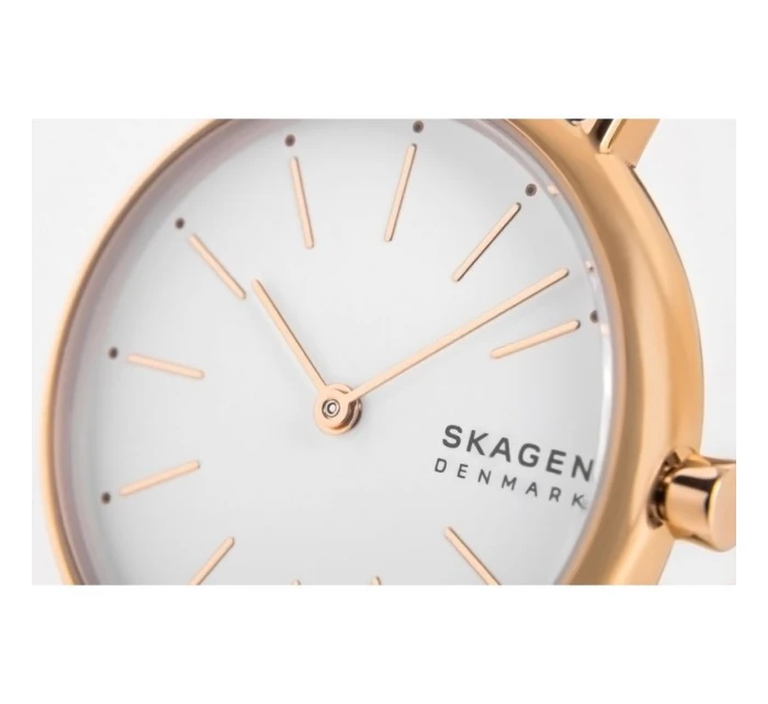 Dámské hodinky SKAGEN Signatur SKW2838 + BOX Dámské hodinky SKAGEN Signatur SKW2838 + BOX