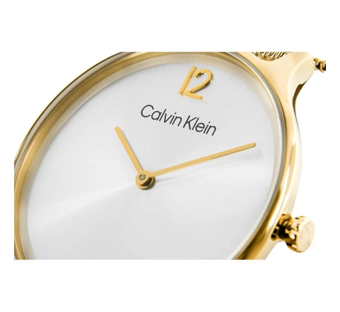 Dámské hodinky Timeless Mesh model 21806519 + BOX dámské - Calvin Klein Dámské hodinky Timeless Mesh model 21806519 + BOX dámské - Calvin Klein