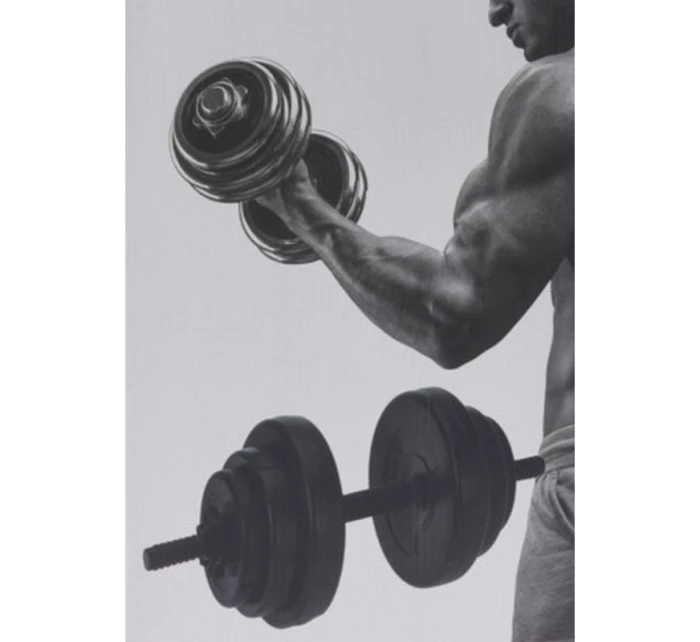 10 KG model 21824618 - XQMAX 10 KG model 21824618 - XQMAX