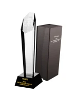 Trofeum szklane grawerowane z etui + wypełnienie farbą Trofeum szklane grawerowane z etui + wypełnienie farbą