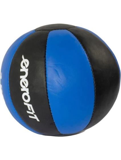 FIT model 21830265 - Enero