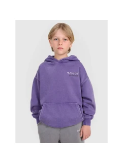 Chlapecká nepruhovaná mikina s kapucí 4F 4FJRAW25TSWSM2344-51S