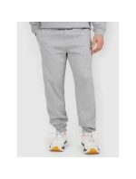 Pánské tepláky typu jogger model 21877671 - 4F Pánské tepláky typu jogger model 21877671 - 4F