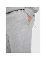 Pánské tepláky typu jogger model 21877671 - 4F Pánské tepláky typu jogger model 21877671 - 4F