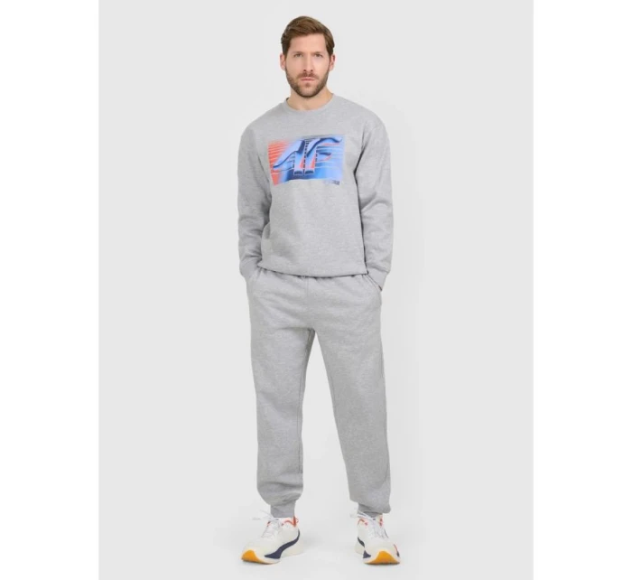 Pánské tepláky typu jogger model 21877671 - 4F Pánské tepláky typu jogger model 21877671 - 4F