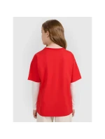 Dívčí tričko s potiskem model 21907074 - 4F Dívčí tričko s potiskem model 21907074 - 4F