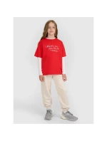 Dívčí tričko s potiskem model 21907074 - 4F Dívčí tričko s potiskem model 21907074 - 4F