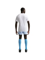 DriFit Park VIII pánské tričko bílé model 21910805 100 pánské - NIKE