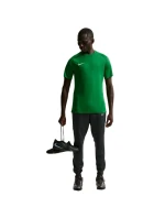 DriFit Park VIII pánské tričko zelené 302 pánské model 21910812 - NIKE
