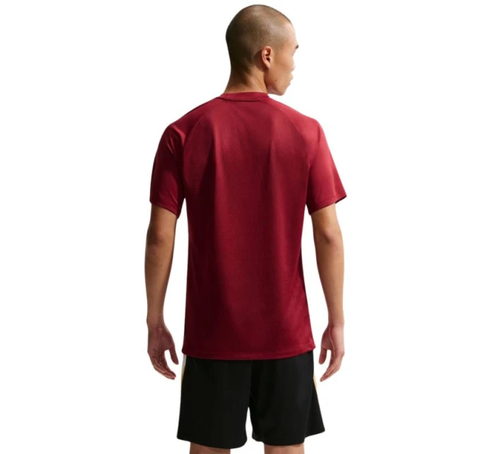 Nike Dri-Fit Park VIII pánské tričko bordó HV8173 677 pánské Nike Dri-Fit Park VIII pánské tričko bordó HV8173 677 pánské