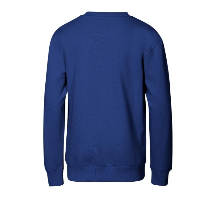 Dětská mikina (chrpová) Dětská mikina (chrpová)