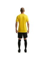 Pánské tričko Nike Dri-Fit Park 26 SS Top yellow HM7127 719 pánské