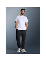 Pánské tričko s potiskem 4F 4FRAW25TTSHM3384-10S