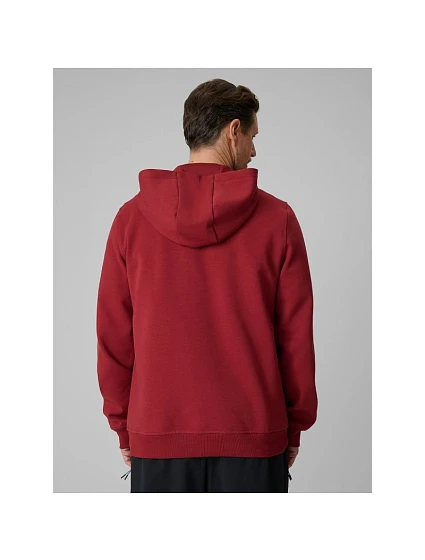 Pánská mikina s kapucí model 22171755 pánské - 4F