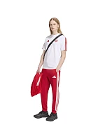 Adidas FC Bayern DNA Tee KG2592 tričko Adidas FC Bayern DNA Tee KG2592 tričko