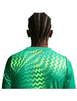 Pánské tričko FC Barcelona Stadium Goalkeeper zelené model 22282058 - NIKE Pánské tričko FC Barcelona Stadium Goalkeeper zelené model 22282058 - NIKE