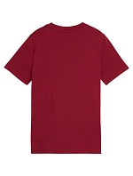 Dětské tričko Puma ESS Small No.1 Logo Centered Tee, hnědé, 692975, velikost 23