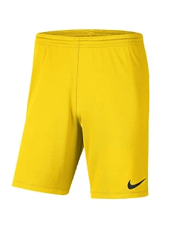 Dětské kraťasy Nike Dry Park III NB K, žluté, BV6865 718
