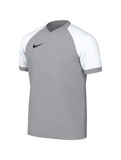 Dětské tričko Nike Dri-FIT Trophy VI, šedé, HV8158 012