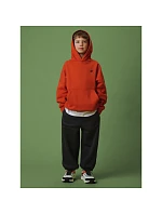 Chlapecké teplákové kalhoty typu jogger model 22318311 - 4F