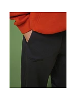 Chlapecké teplákové kalhoty typu jogger model 22318311 - 4F