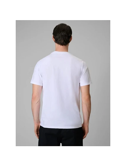 Pánské tričko model 22402697 - 4F Pánské tričko model 22402697 - 4F