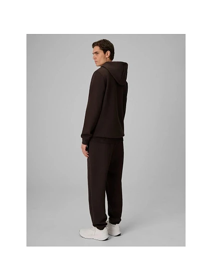 Spodnie dresowe joggery męskie | model 22551961 - 4F Spodnie dresowe joggery męskie | model 22551961 - 4F