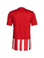 Pánské fotbalové tričko Striped 21 Jersey M model 16042172 - ADIDAS