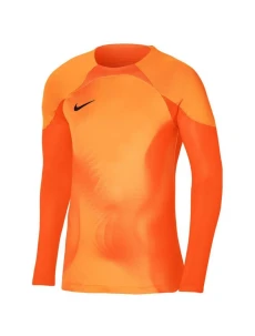 Pánský brankářský dres Gardien IV JSY M DH7967 819 - Nike