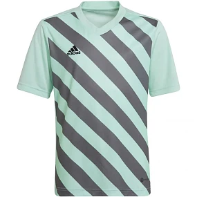 Entrada 22 Graphic Jersey Junior HF0127 tričko - Adidas Entrada 22 Graphic Jersey Junior HF0127 tričko - Adidas